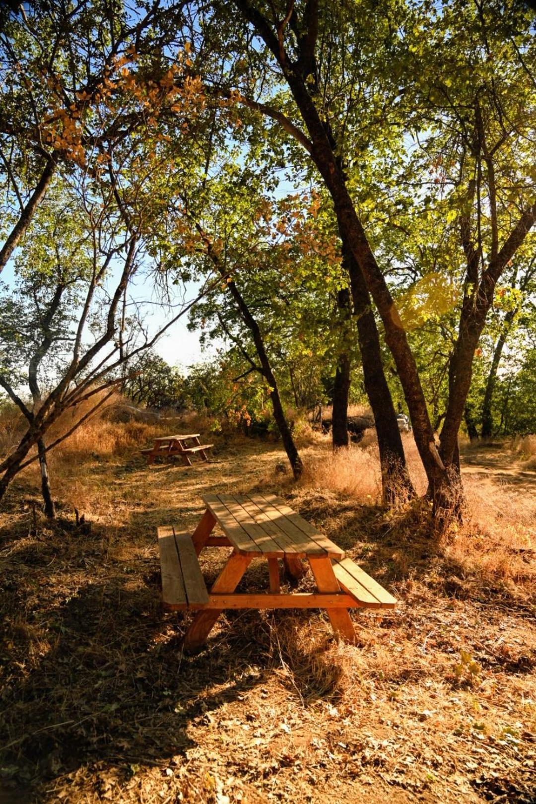 Campground At Sequoia Mountain Farms - Bring Your Own Tent Or Rv - No Bedrooms Or Beds Provided Miramonte Luaran gambar